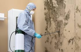 Best Biohazard Mold Removal  in Frederick, OK